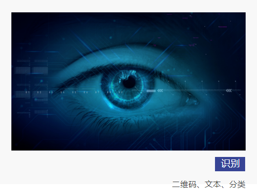 技術(shù)拓展商業(yè)邊界 博杰AI視覺算法平臺(tái)驚艷亮相